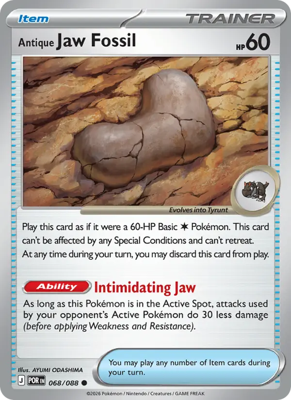 Antique Jaw Fossil