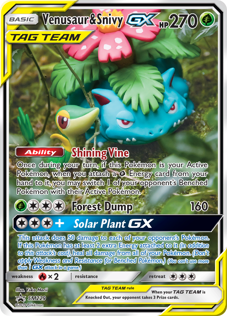 Venusaur & Snivy