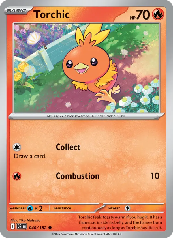 Torchic