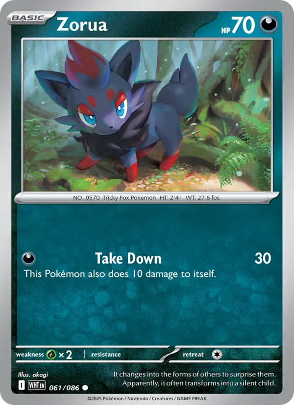Zorua