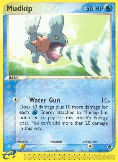 Mudkip