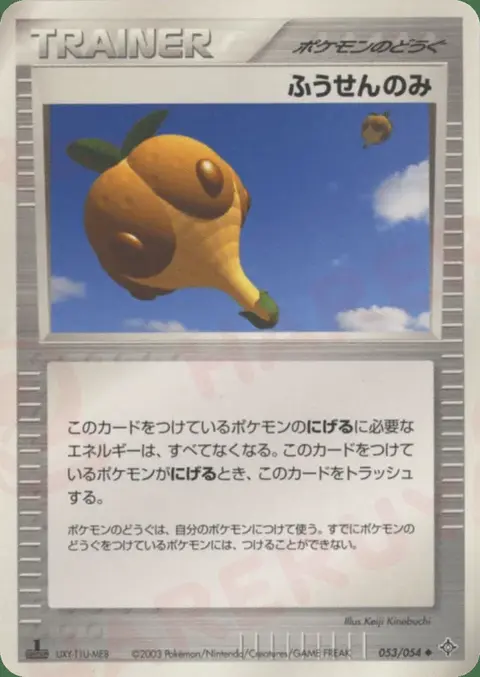 Balloon Berry