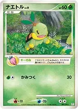 Turtwig