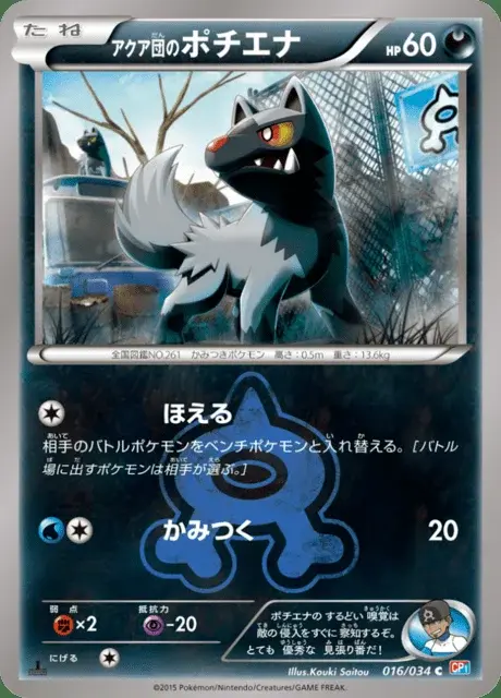 Team Aqua's Poochyena