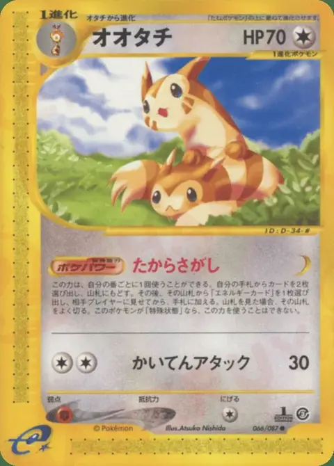 Furret