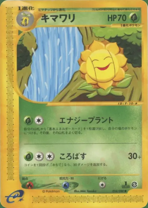 Sunflora