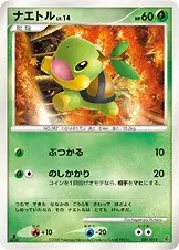 Turtwig
