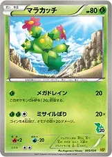 Maractus