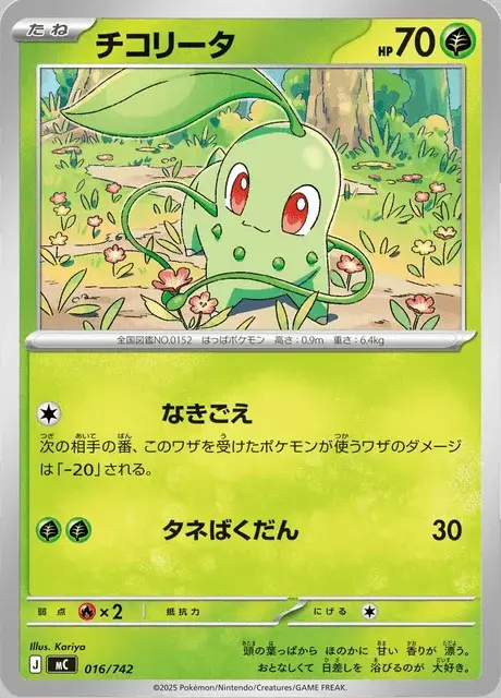 Chikorita