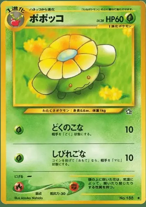 Skiploom