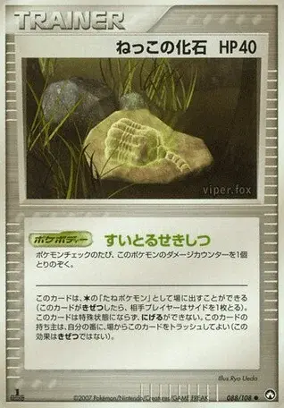Root Fossil
