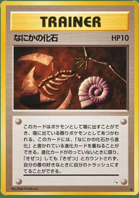Mysterious Fossil