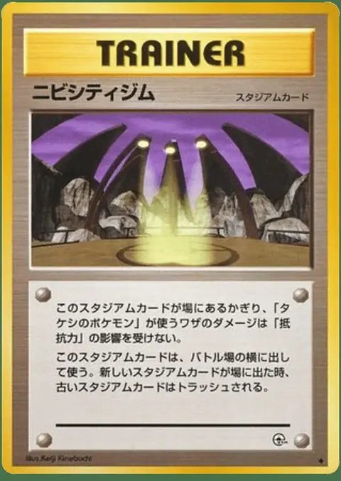 Pewter City Gym