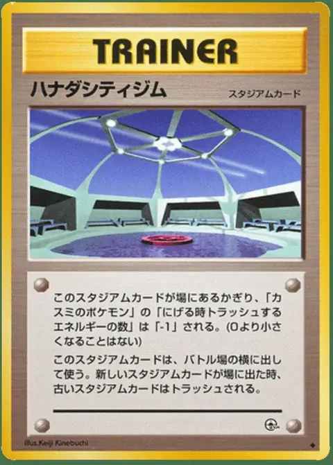 Cerulean City Gym
