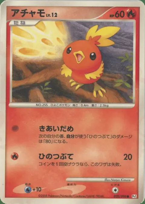 Torchic