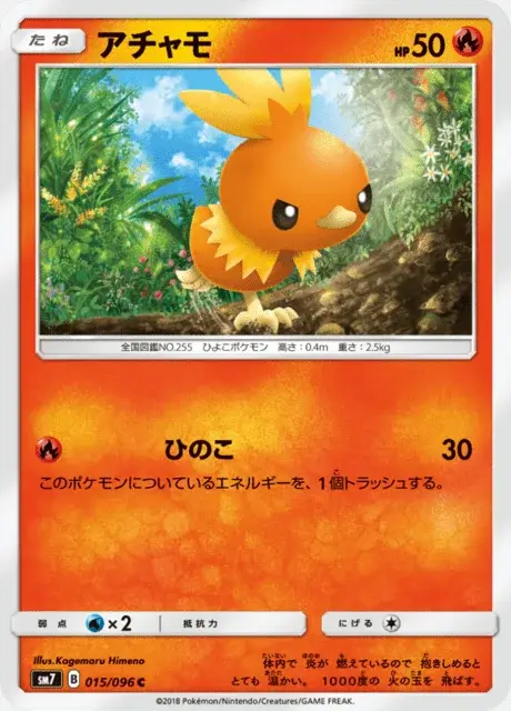 Torchic