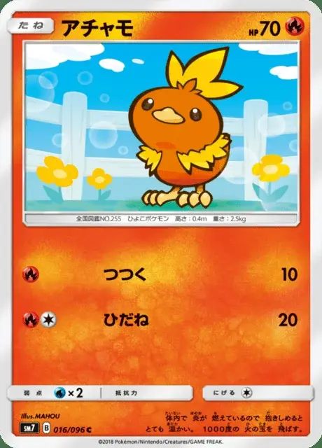 Torchic