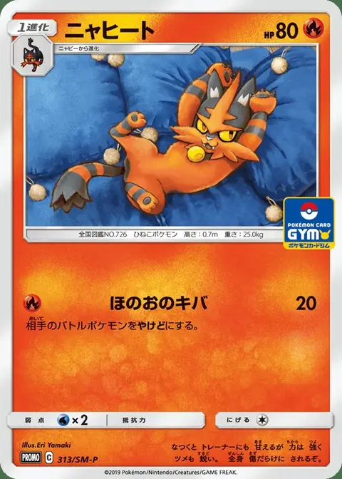 Torracat