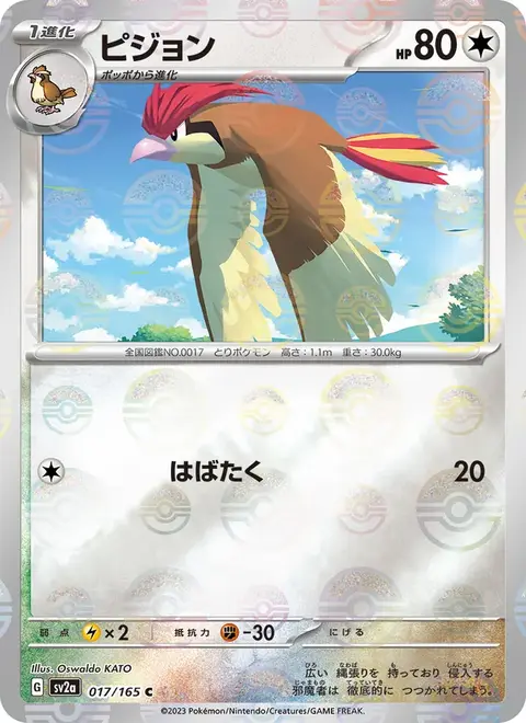 Pidgeotto
