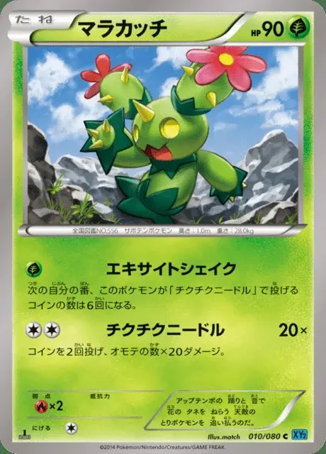 Maractus