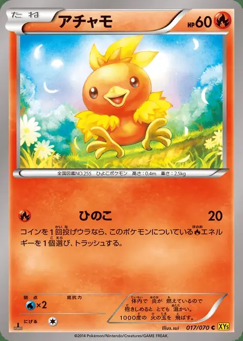 Torchic