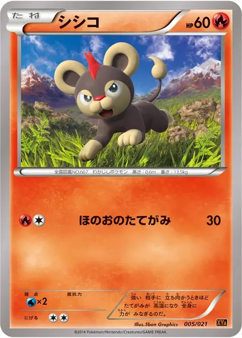 Litleo