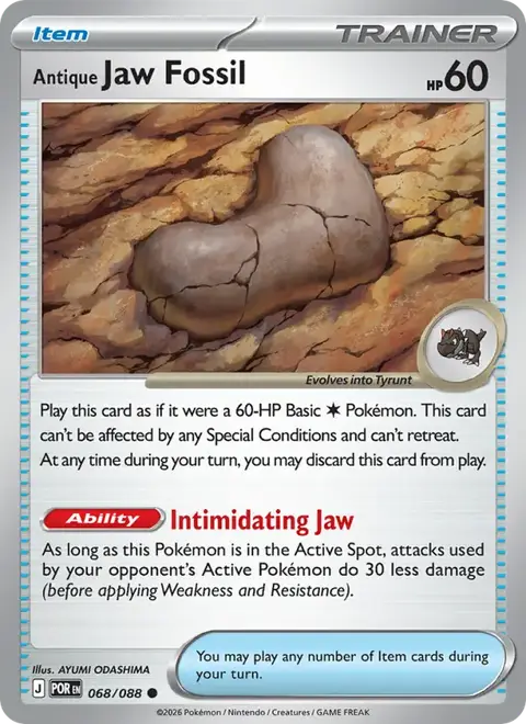Antique Jaw Fossil