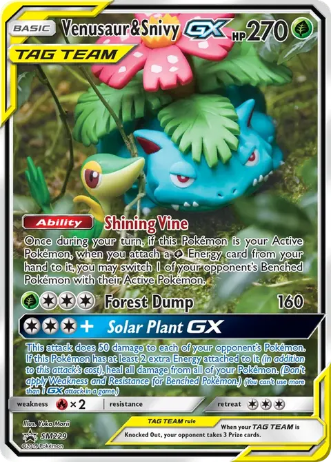 Venusaur & Snivy GX