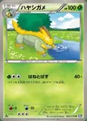 Grotle