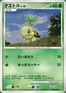 Turtwig