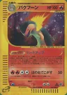 Typhlosion