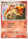Rapidash