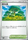 Forest of Vitality
