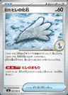 Antique Sail Fossil