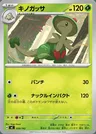 Breloom