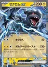Zekrom ex