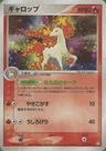 Rapidash