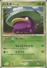 Lotad