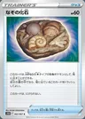 Unidentified Fossil