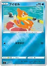 Buizel