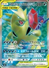 Mega Sableye & Tyranitar GX