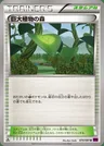 Forest of Giant Plants